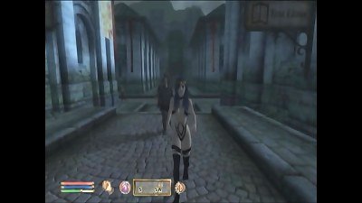 estrus compile bbb motion.avi