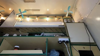 super nice cherry showing her panties at work