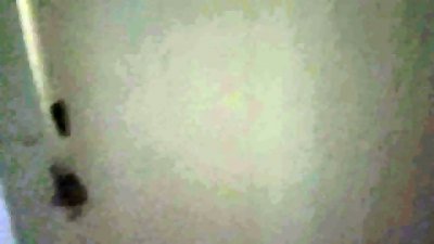 Lots of homemade sex with my stunning stepsister - Compilation